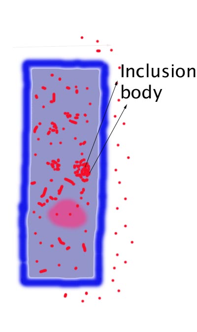 cell altered produces virusses